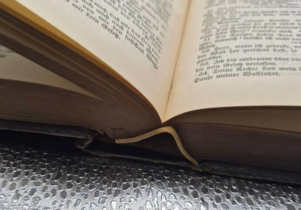 The Holy Scripture (German Bible